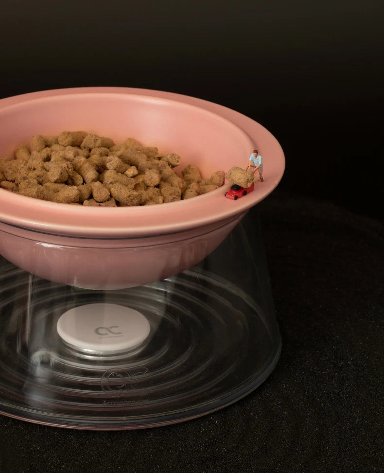 White Happy Planet Pet Bowl Tilted Raised Cat Bowl Non‑Slip Anti‑Tip Pet Feeding Dish Neck Guard Removable Bowl for Cats Small Dogs