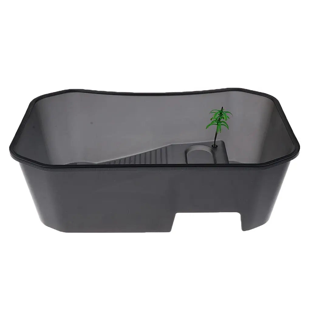 Reptile Terrarium Tank with Coconut Tree Ornament
