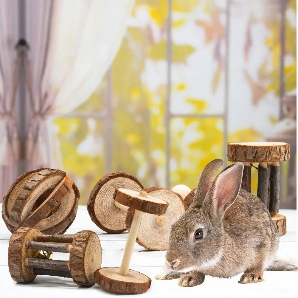 Guinea Pig Rabbit Hamster Small Animal Play Pet Roller Toys Natural Wooden Pine Dumbells Unicycle Bell Chew Chewing Braided Ball