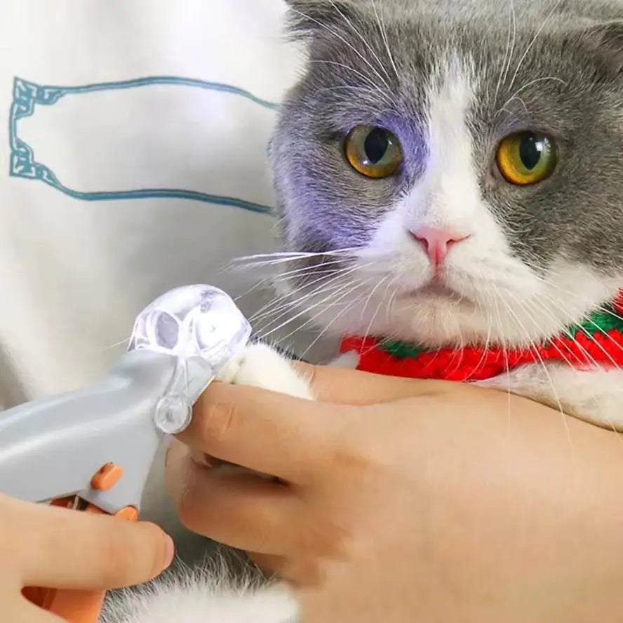 LED Pet Nail Clipper Professional Dog Cat Toe Claw Scissors Nail Trimmer Grooming Safety Stop For Small Animals Pets